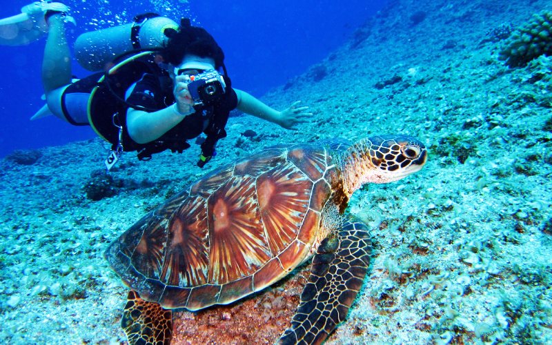 Goa Adventure scuba